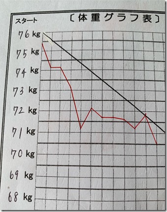 -7.3キロS様グラフ