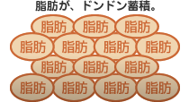 脂肪が減らずに蓄積される